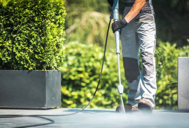 Best Factory Floor Cleaning  in St Elmo, IL