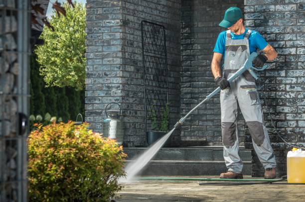 Solar Panel Cleaning in St Elmo, IL