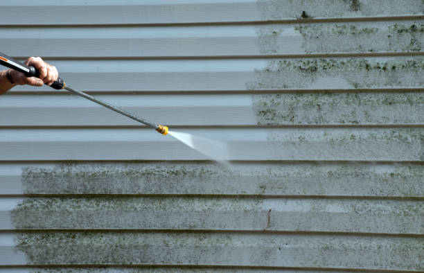 Reliable St Elmo, IL Pressure Washing Services Solutions